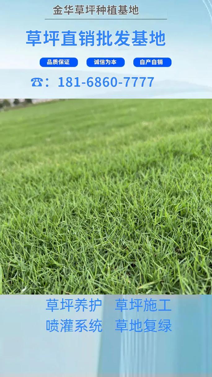 金华草皮直销,金华草皮种类大全,金华四季青草坪 181